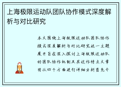 上海极限运动队团队协作模式深度解析与对比研究